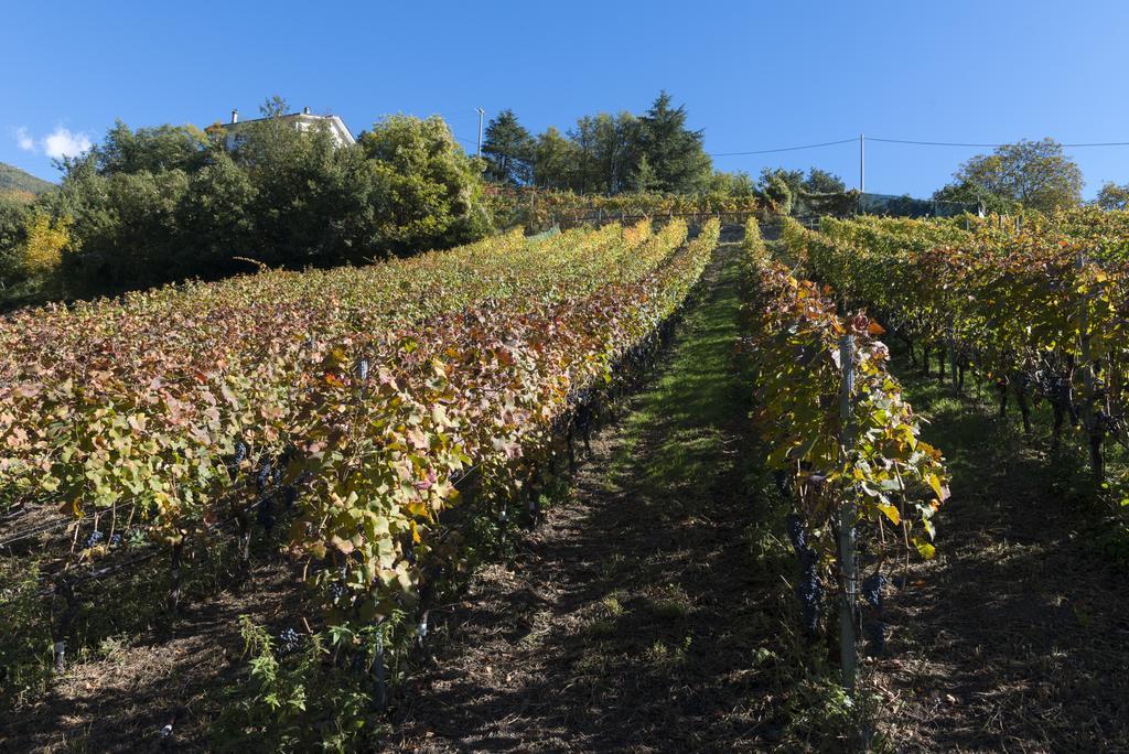 Agriturismo Gli Elfi 아오스타 외부 사진